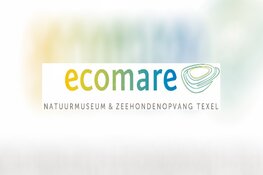 Dierendag bij Ecomare