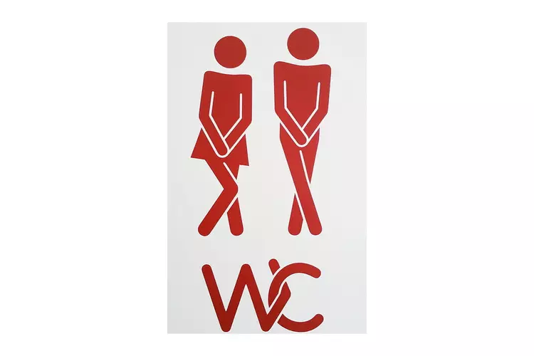 De gemeente plaatst tijdelijke openbare toiletten in Den Burg en De Koog