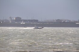 Grote zoekactie rond Helderse veerhaven blijkt loos alarm