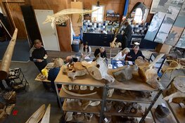 Twee nieuwe artikelen over de collectie Vonk