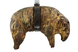 Gouden schaap naar Museum Kaap Skil