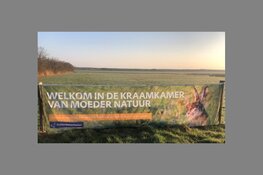 Vogelparadijs Waalenburg is in opperste voorjaarsstemming