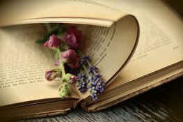 Drieluik over tweestrijd in de literatuur