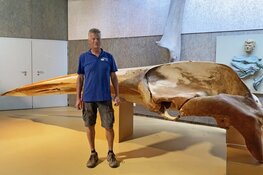 Ecomare start sponsoractie vinvisskelet