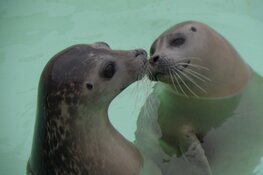 Ecomare test avondopenstelling