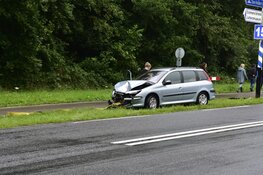 Kopstaartbotsing op Texel