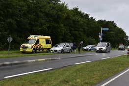 Kopstaartbotsing op Texel