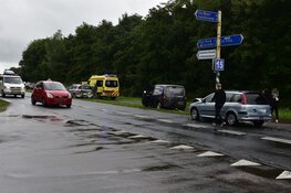 Kopstaartbotsing op Texel