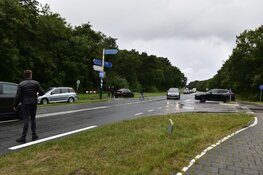 Kopstaartbotsing op Texel