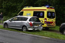 Kopstaartbotsing op Texel