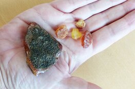 Barnsteen op het Texelse strand