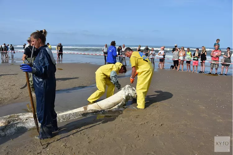 Texelfonds sponsort kaken vinvis Ecomare