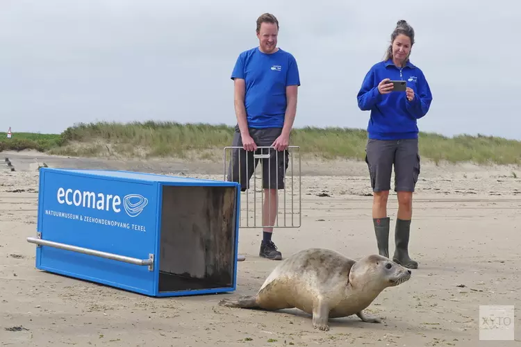 Nettenslachtoffer Nylon terug naar zee