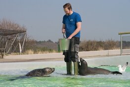 Musea bevrijd van corona-keurslijf