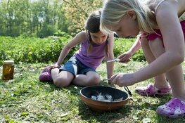 Wilde buitendag nu ook op Texel