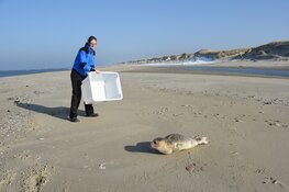 Ecomare blij met gift Rabo ClubSupport-actie