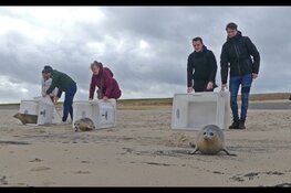 Geslaagde Valentijnsactie Ecomare