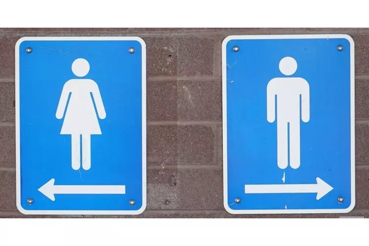 Tijdelijke toiletunits binnenkort verwijderd
