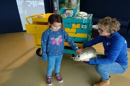 Ecomare derde "Leukste uitje"